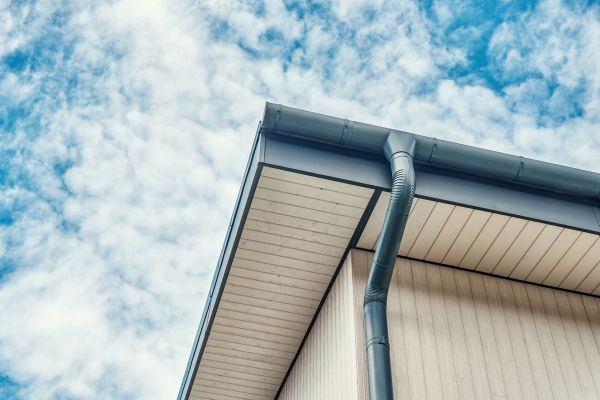 Gutter Fascia Repair in Anderson