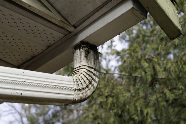 Cost of Roof Drain Replacement in Anderson
